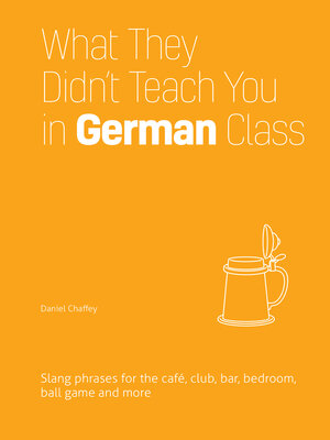 cover image of What They Didn't Teach You in German Class
